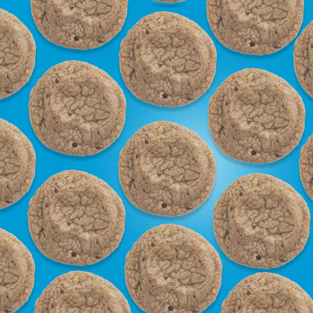 Chocolate Chip Hybrid MAX Cookie 1pc 100mg THC (Dr. Norm's)