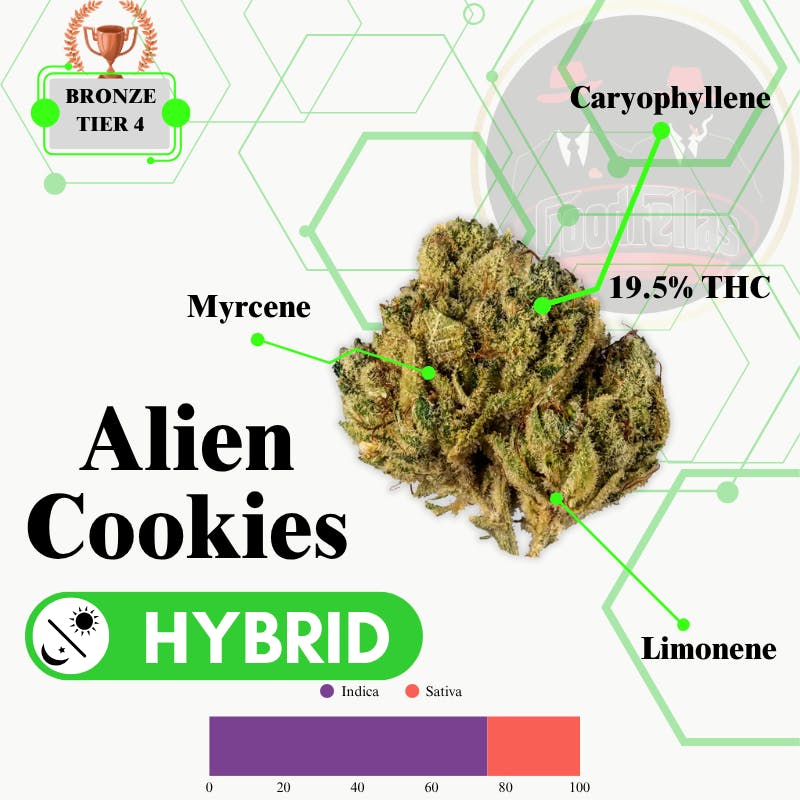 Alien Cookies - Outdoor Flower - Bronze Tier 4
