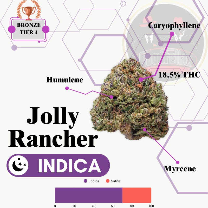 Jolly Rancher - Outdoor Flower - Bronze Tier 4