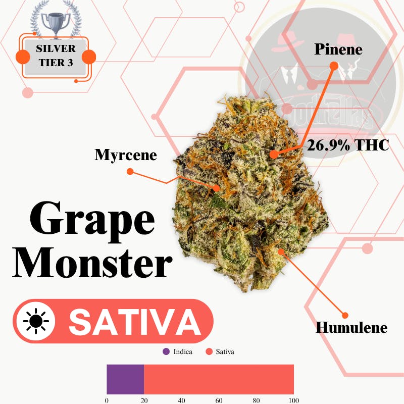Grape Monster - Indoor Flower - Silver Tier 3