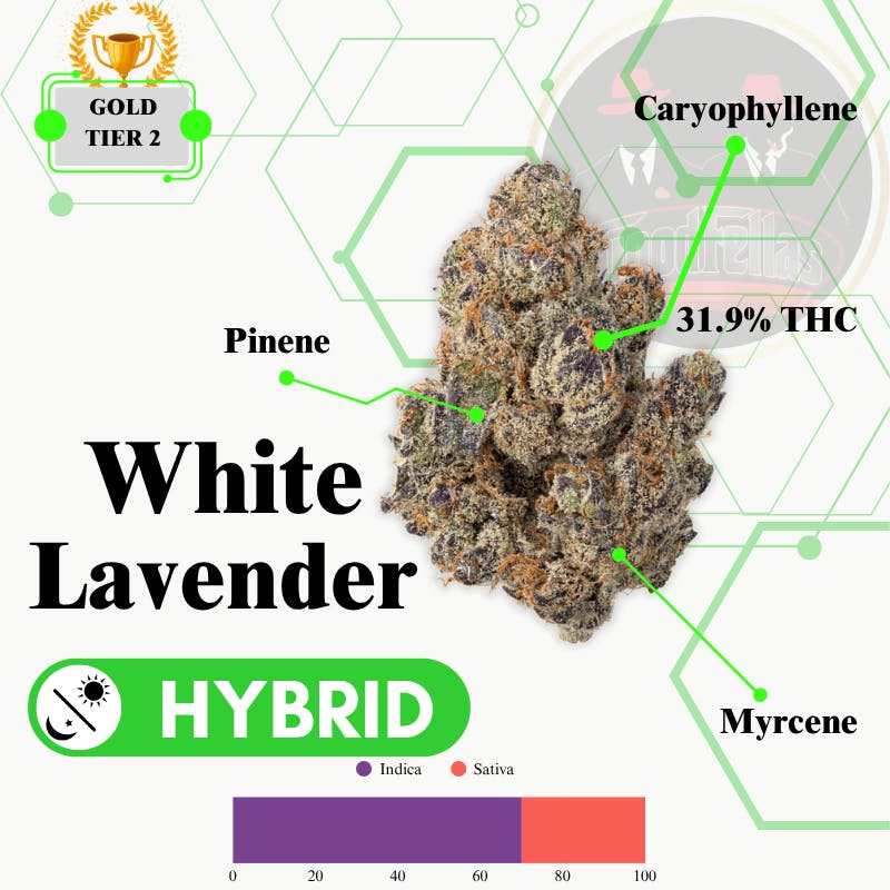 White Lavender - Indoor Flower - Gold Tier 2