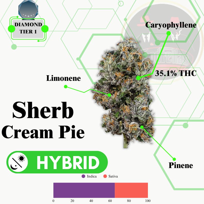 Sherb Cream Pie - Indoor Flower - Diamond Tier 1