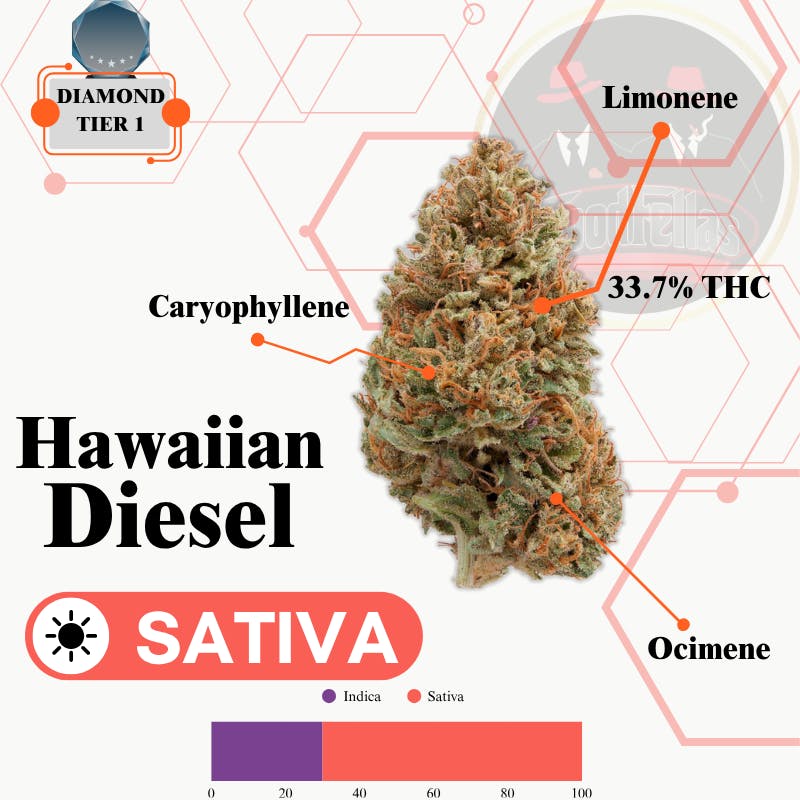 Hawaiian Diesel - Indoor Flower - Diamond Tier 1