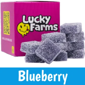 Blueberry Gummies 1000mg THC 10pk (Lucky Farms)