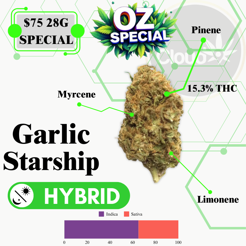 Garlic Starship - 28G