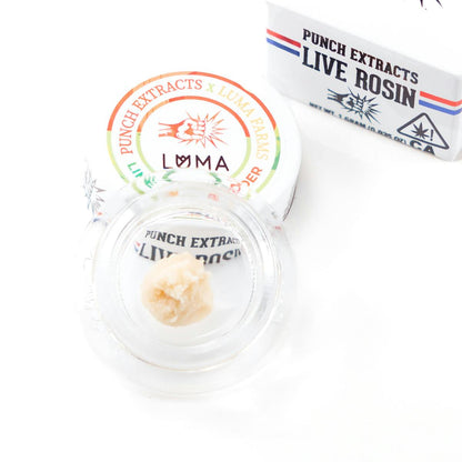 Lime Oasis Tier 1 Live Rosin Cold Cure Badder 1g (Punch Edibles & Extracts)