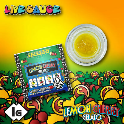 Lemon Cherry Gelato Live Sauce 1g (Sluggers Hit)