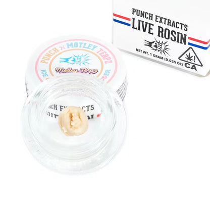 Ice Cream Diesel Tier 4 Live Rosin Cold Cure Badder 1g (Punch Edibles & Extracts)