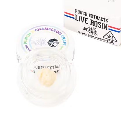 Hashburger by Charmeleon Tier 3 Live Rosin Cold Cure Badder 1g (Punch Edibles & Extracts)