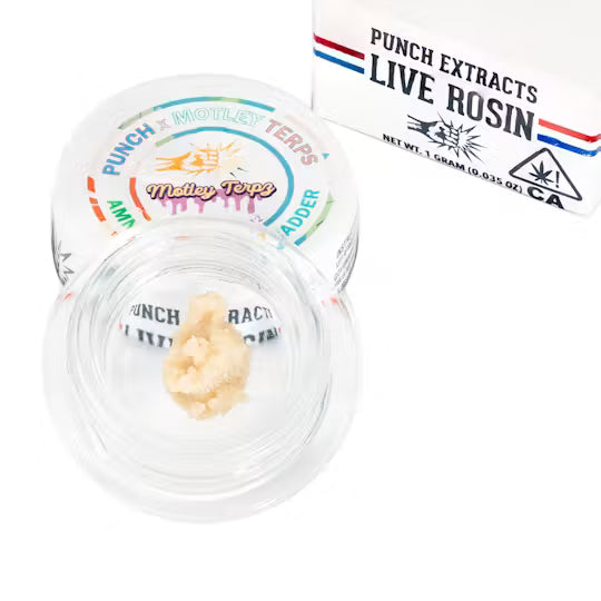 Amnesia Toronja Tier 4 Live Rosin Cold Cure Badder 1g (Punch Edibles & Extracts)