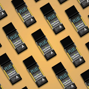 Pineapple Express:DNA PLUG Vape 1g (PLUGPLAY™)