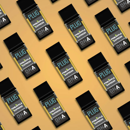 Pineapple Express:DNA PLUG Vape 1g (PLUGPLAY™)