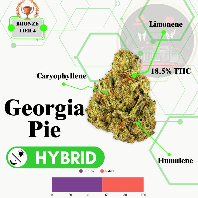 Georgia Pie - Outdoor Flower - Bronze Tier 4