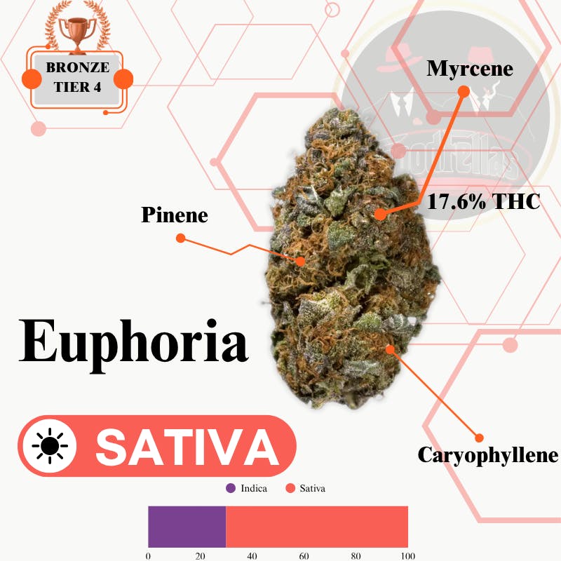 Euphoria - Outdoor Flower - Bronze Tier 4