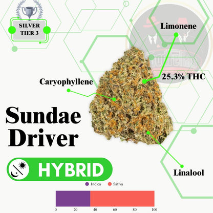 Sundae Driver - Indoor Flower - Silver Tier 3