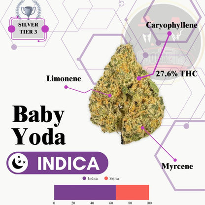 Baby Yoda - Indoor Flower - Silver Tier 3