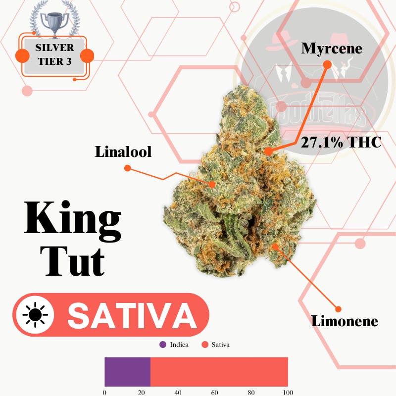 King Tut - Indoor Flower - Silver Tier 3