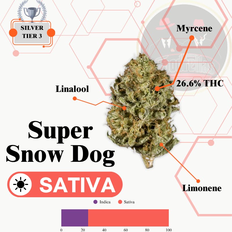 Super Snow Dog - Indoor Flower - Silver Tier 3