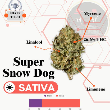 Super Snow Dog - Indoor Flower - Silver Tier 3