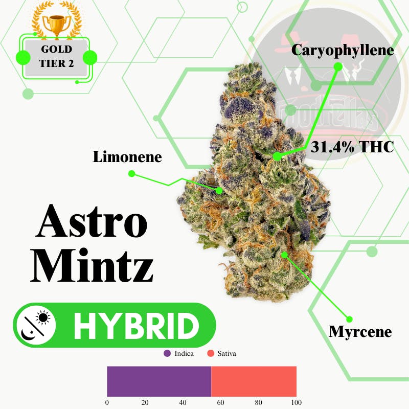 Astro Mintz - Indoor Flower - Gold Tier 2