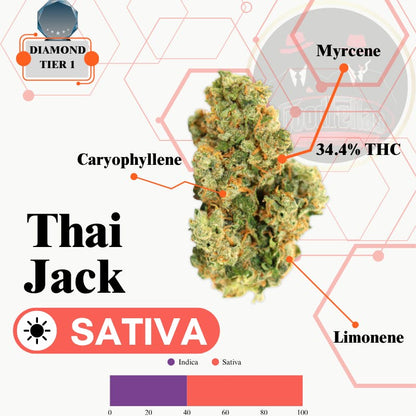 Thai Jack - Indoor Flower - Diamond Tier 1