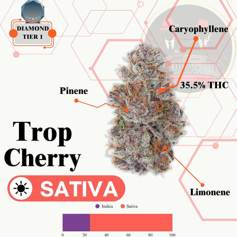 Trop Cherry - Indoor Flower - Diamond Tier 1