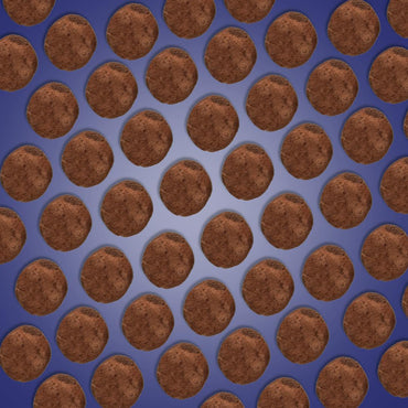 Sleep Bites SleepWell Fast-Acting Chocolate Brownie 40pk 100THC:50CBN (Dr. Norm's)