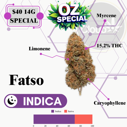 Fatso - 14G